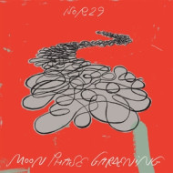MOON PHASE GARDENING