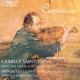 CAPRICCIO-MUSIC FOR VIOLI<br/><h5>Megjelenés: 1998-03-05</h5>