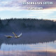 SIBELIUS EDITION VOL.12:SYMPHONIES<br/><h5>Megjelenés: 2011-04-07</h5>