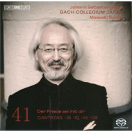 CANTATAS VOL.41