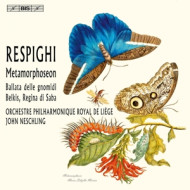 METAMORPHOSEON