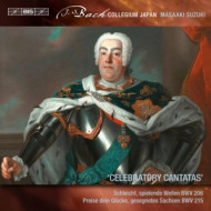 SECULAR CANTATAS VOL.8