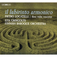 IL LABIRINTO ARMONICO