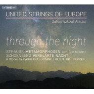 THROUGH THE NIGHT