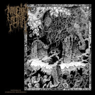 REALMS OF EXQUISITE MORBIDITY