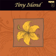TINY ISLAND