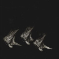 PROCESSION