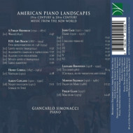 AMERICAN PIANO LANDSCAPES - 19TH CENTURY & 20TH CENTURY