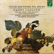 GIULIO SAN PIETRO DEL NEGRO: AMORE LANGUEO, MOTETS, PAVIA, 16TH CENTURY