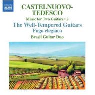 TWO GUITARS VOL.2