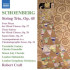 STRING TRIO OP.45