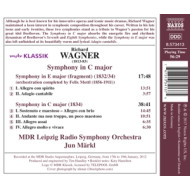 SYMPHONY IN C MAJOR/SYMPHONY IN E MAJOR (FRAGMENT)