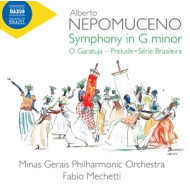 SYMPHONY IN G MINOR