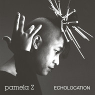 ECHOLOCATION