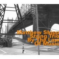 BY THE LAW OF MUSIC