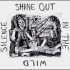 SHINE OUT IN THE WILD SILENCE: A TRIBUTE TO DAVID BERMAN