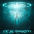 VIRTUAL SYMMETRY