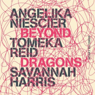 BEYOND DRAGONS