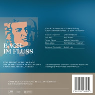 BACH IM FLUSS