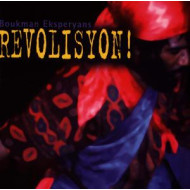 REVOLISYON