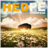STAMPEDE