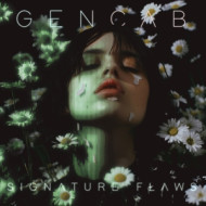 SIGNATURE FLAWS