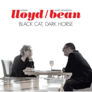 BLACK CAT, DARK HORSE