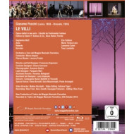 LE VILLI