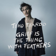 GRIEF IS THE THING WITH FEATHERS