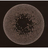 ORGAN EYE