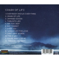 CRASH OF LIFE
