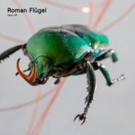 FABRIC 95 ROMAN FLUGEL
