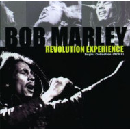 REVOLUTION EXPERIENCE
