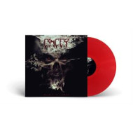 SPIRIT IN FLAMES