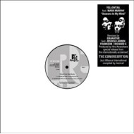 SEASONS IN MY MIND (REMIXES)