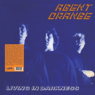 LIVING IN DARKNESS