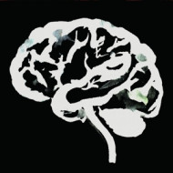 BRAIN FLAKES