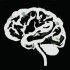 BRAIN FLAKES