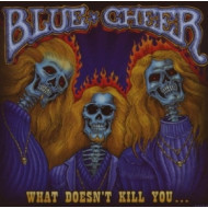 WHAT DOESN'T KILL YOU ?