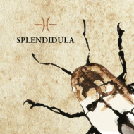 SPLENDIDULA