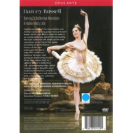 DARCEY'S BALLERINA HEROINES
