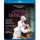 LE NOZZE DI FIGARO<br/><h5>Megjelenés: 2017-11-17</h5>