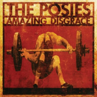 AMAZING DISGRACE