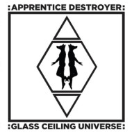 GLASS CEILING UNIVERSE