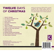 TWELVE DAYS OF CHRISTMAS