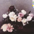 POWER,CORRUPTION&LIES