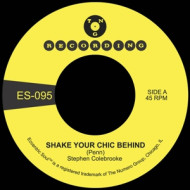 7-SHAKE YOUR CHIC BEHIND