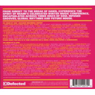 DEFECTED IN THE HOUSE MIAMI 09