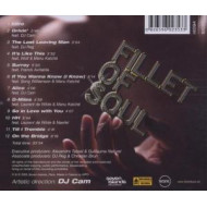 FILLET OF SOUL -12TR-