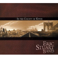 IN THE COUNTY OF KINGS